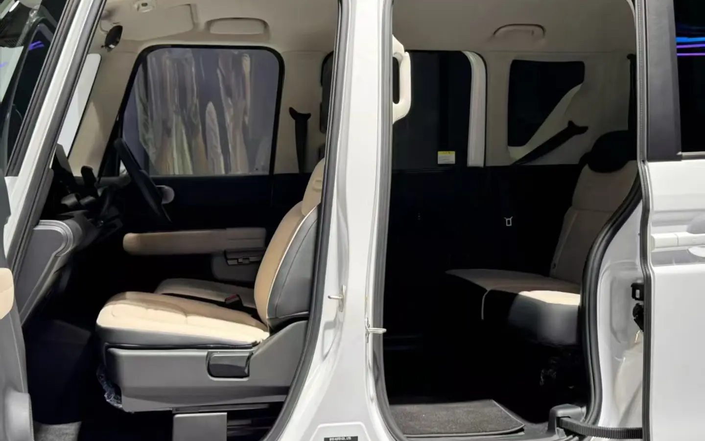 Interior Byd Racco 2