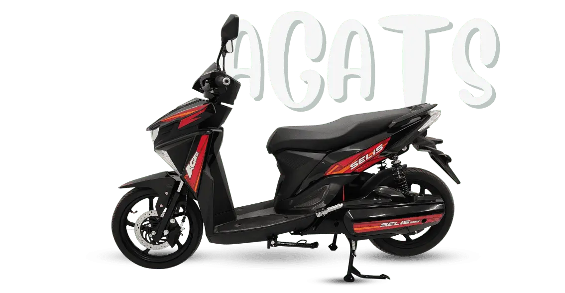 Motor Listrik Selis Agats Sla