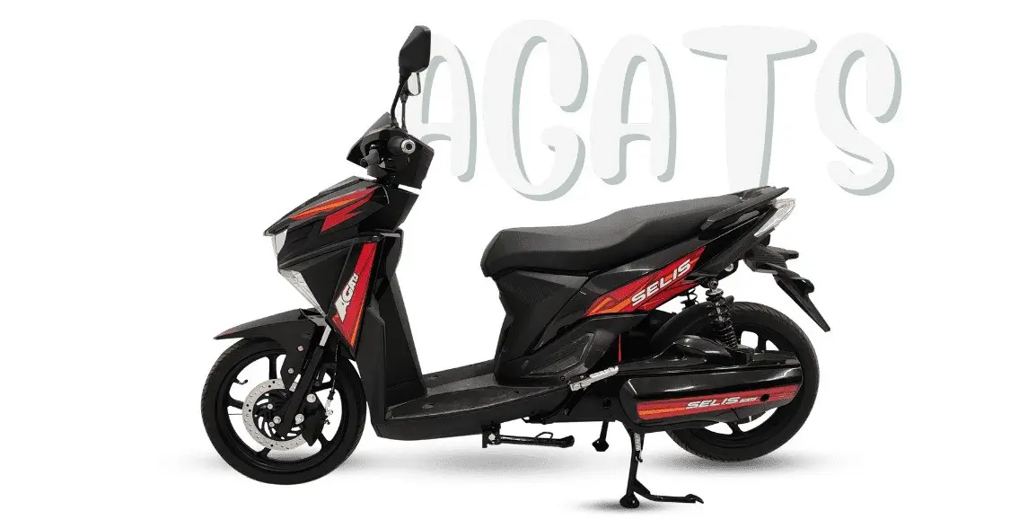Motor Listrik Untuk Pemula Selis Agats