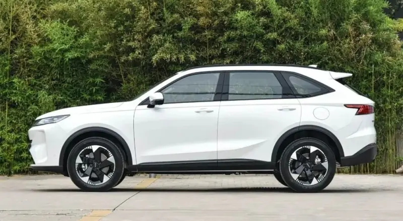 Eksterior Gwm Haval H6l